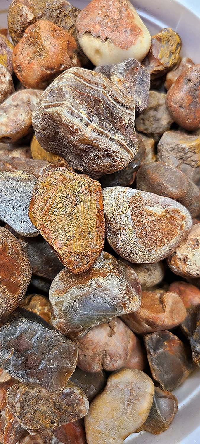LAKE SUPERIOR AGATE ROUGH Gem Adventures Rock Shop